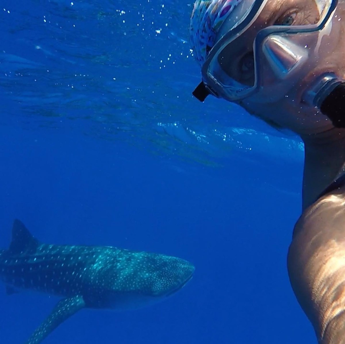 Veronica, marine biologist, after filming the whale shark