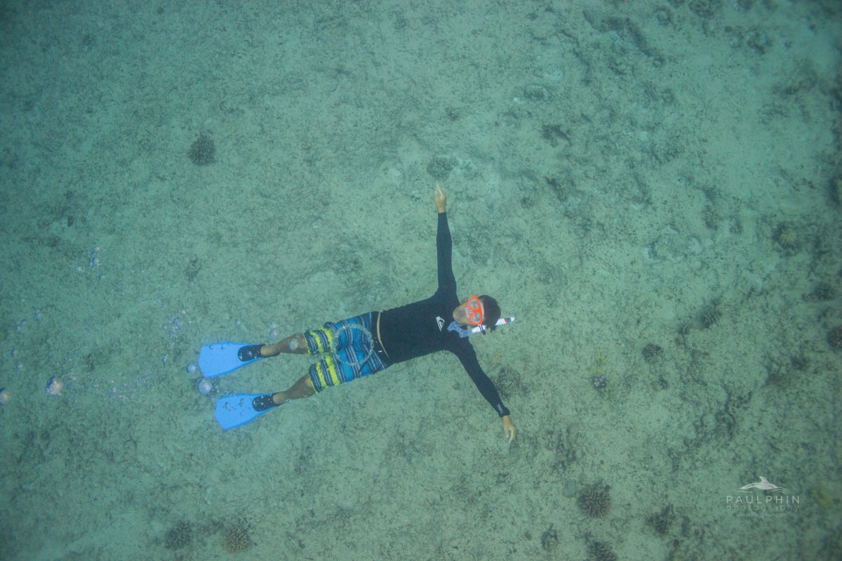 Yuji underwater on the reef
