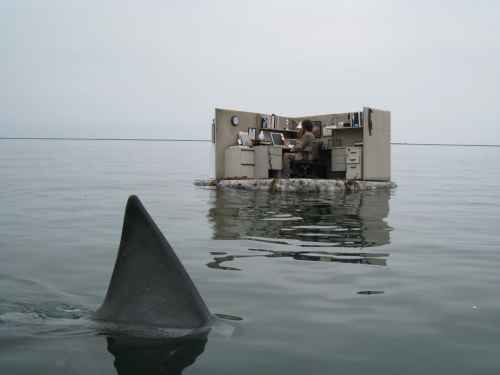 A floating set piece under tow