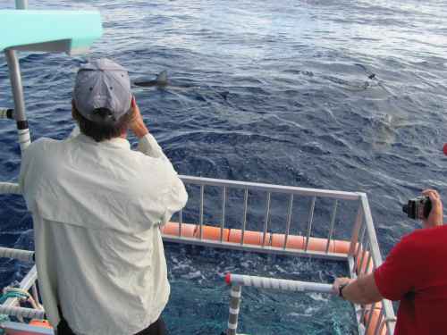 A camera operator shooting from inside the cage