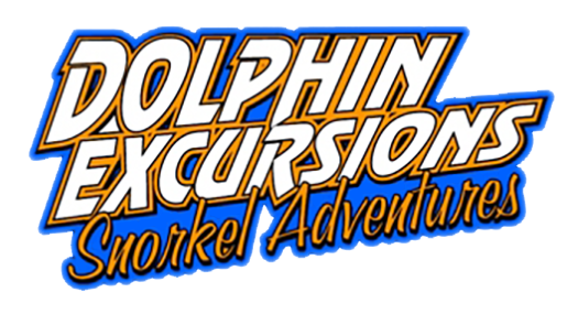 Dolphin Excursions Hawaii